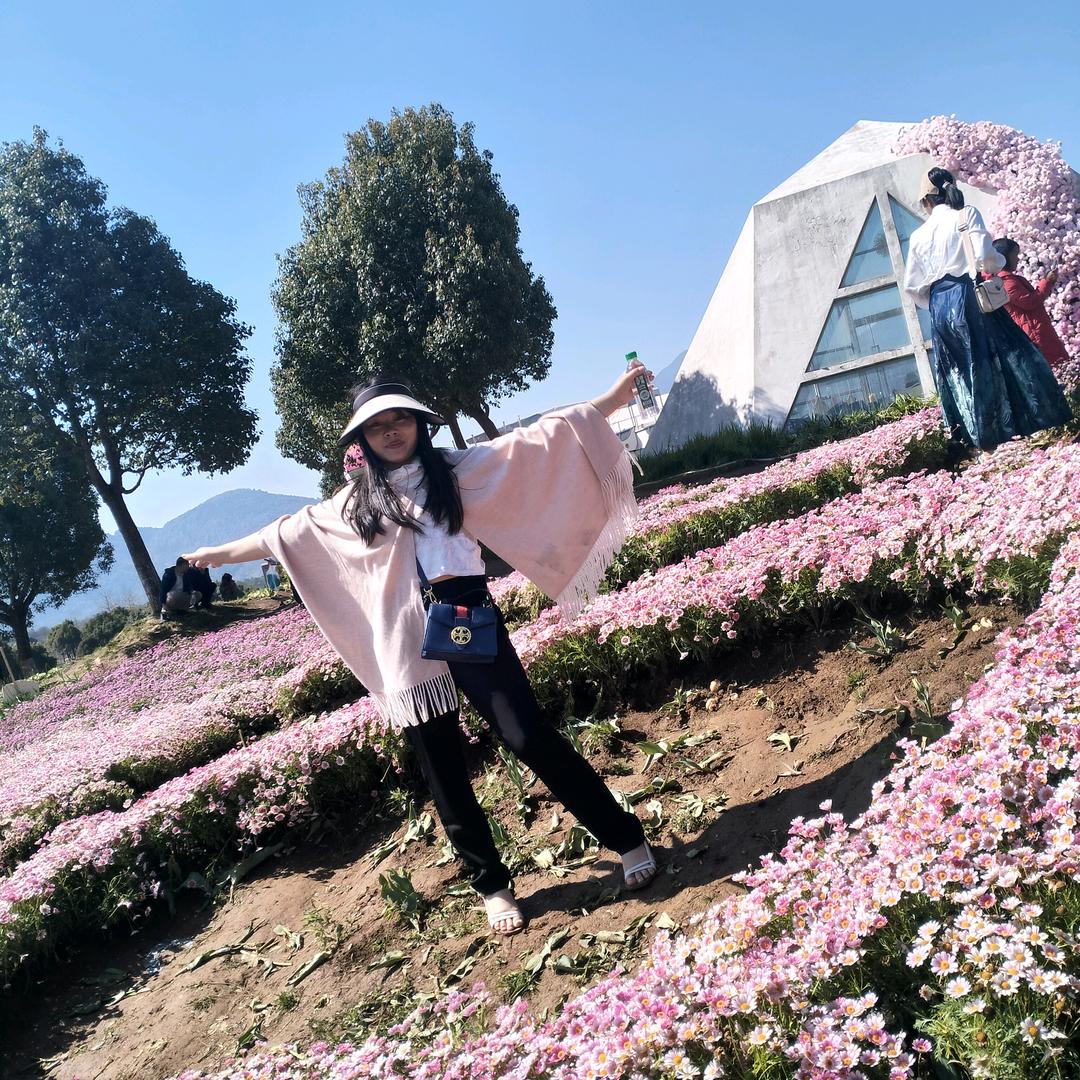 没心没肺活得不累