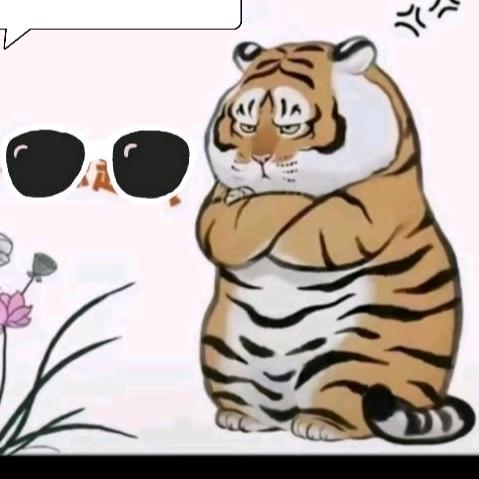 🍂谁懂我心ˎˊ˗ᥫᩣ