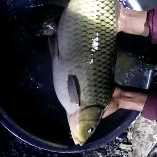 ❤若移动，合来联通