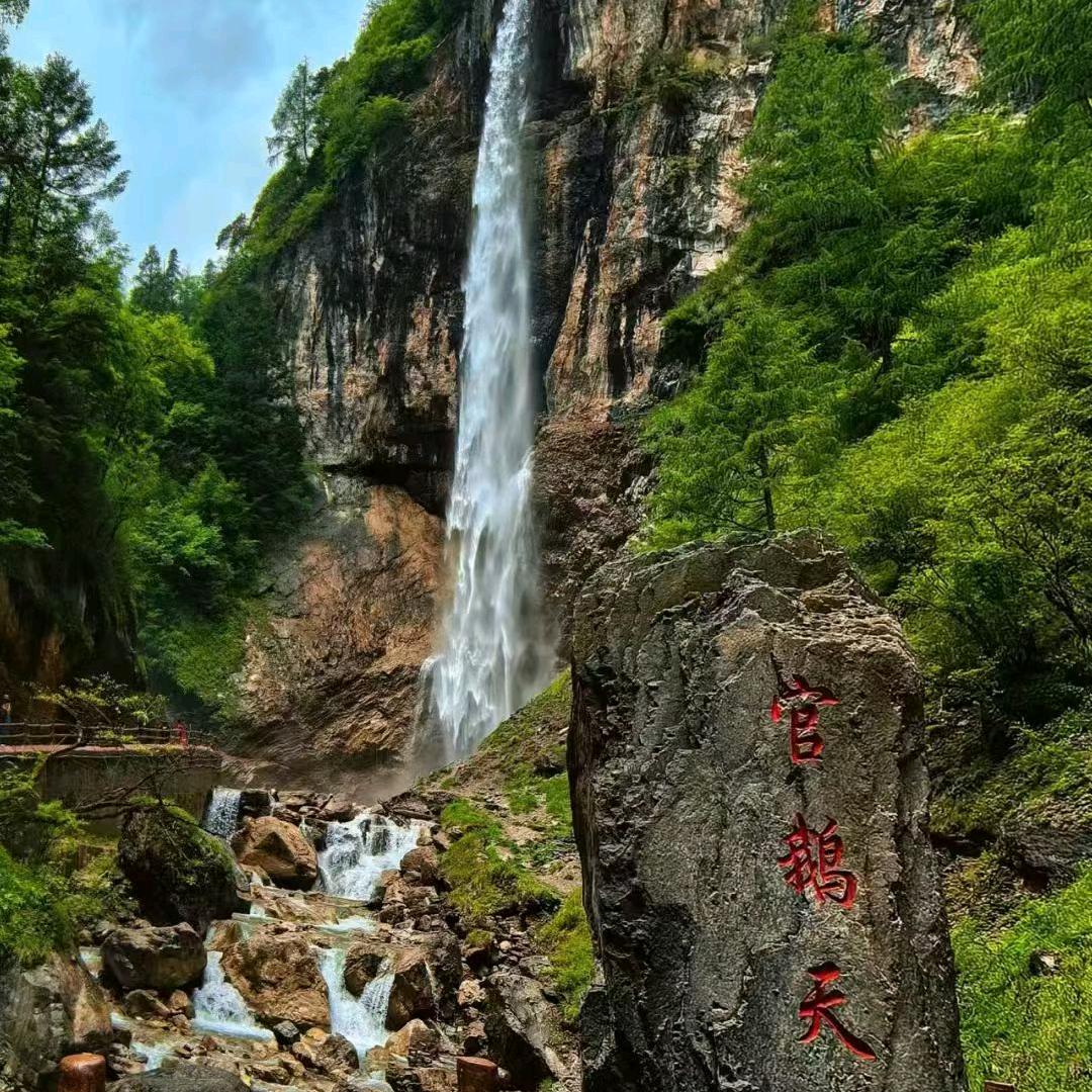 谢谢您来了