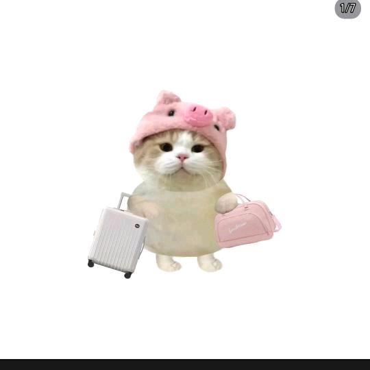 ooiY7