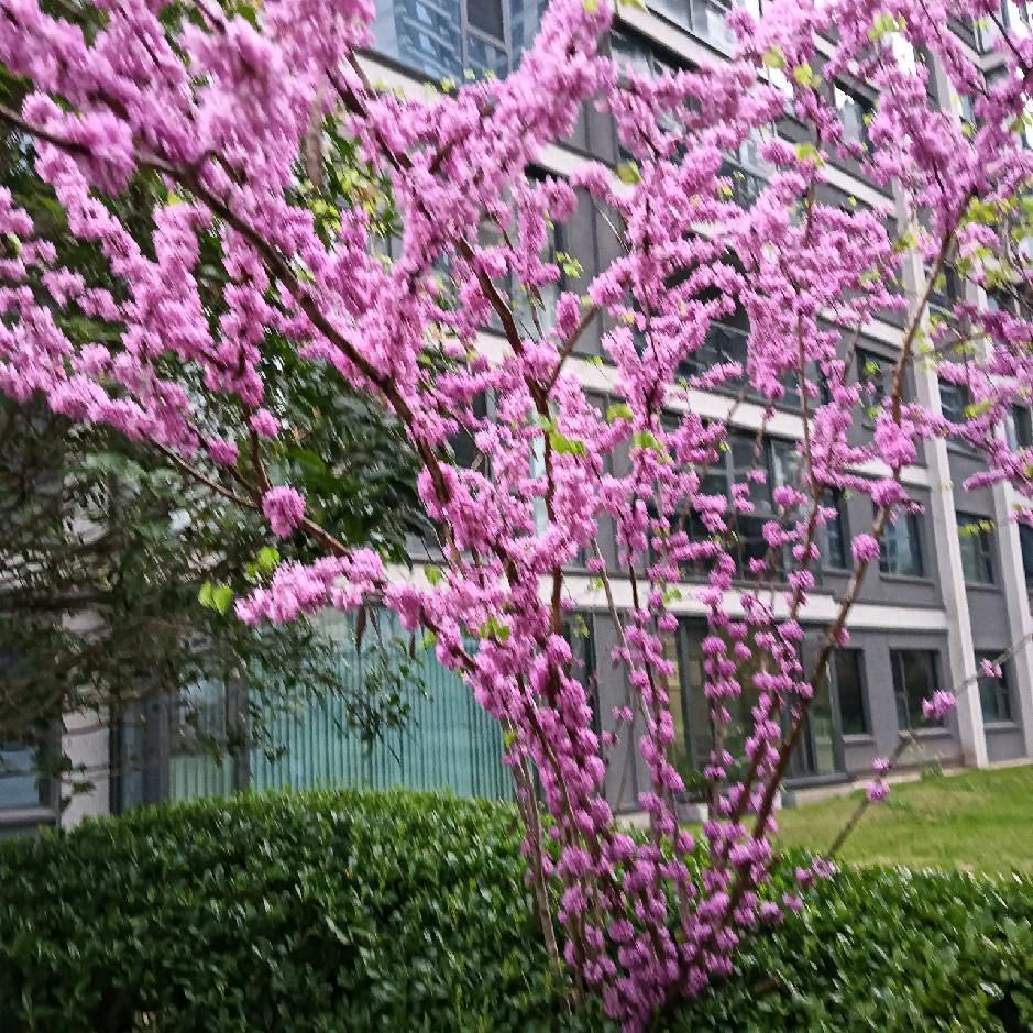 瑶族妹妹