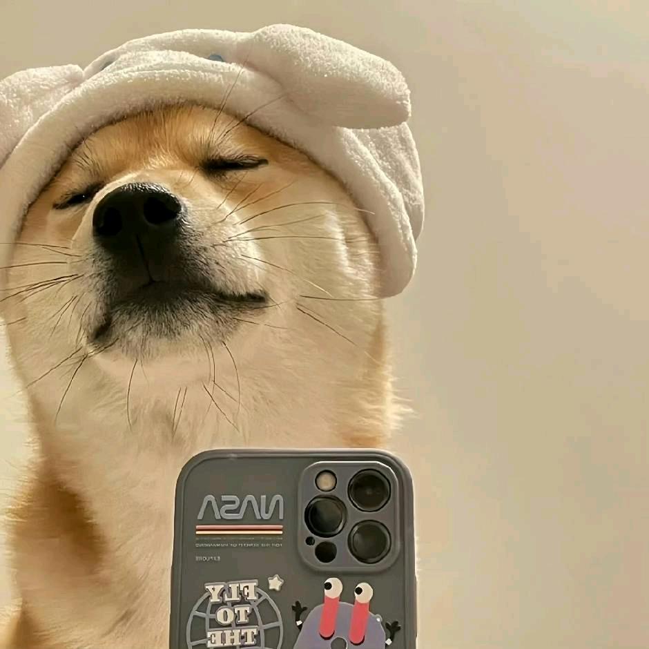 八月®