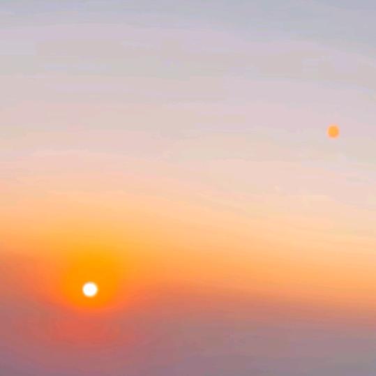 一生无所求