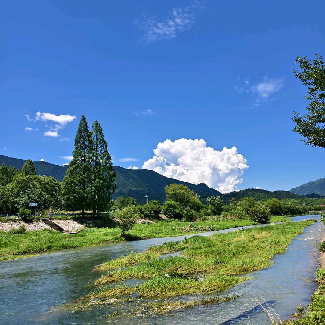 与其