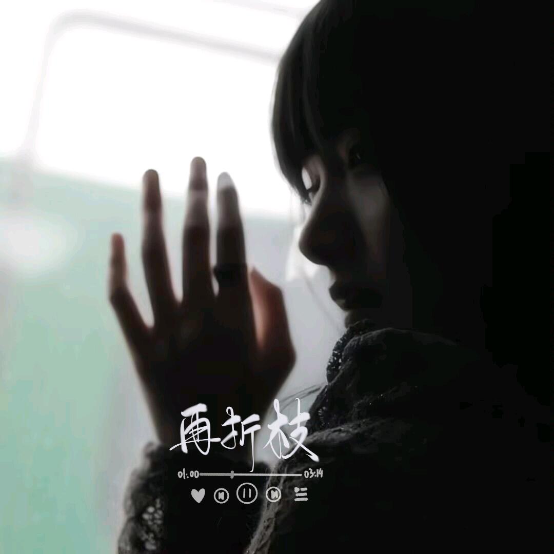 再折枝（手写版）