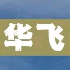 华飞柴暖驻车加热器