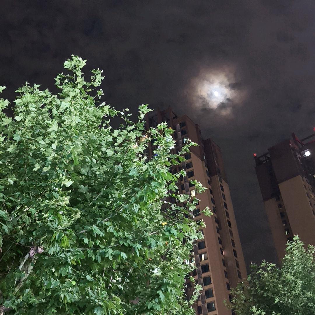 青山绿水长流