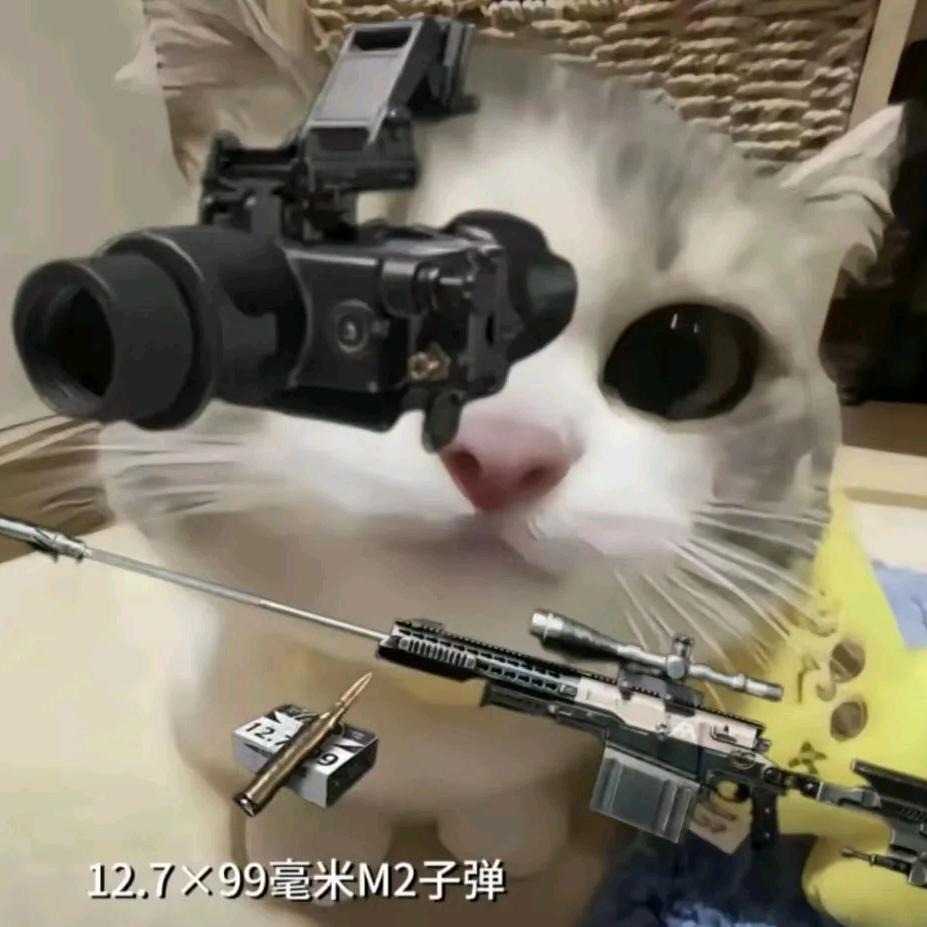 策车