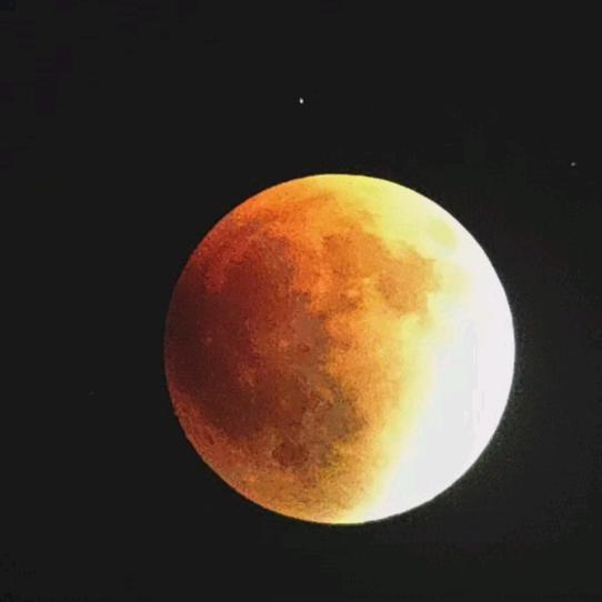 春光无限