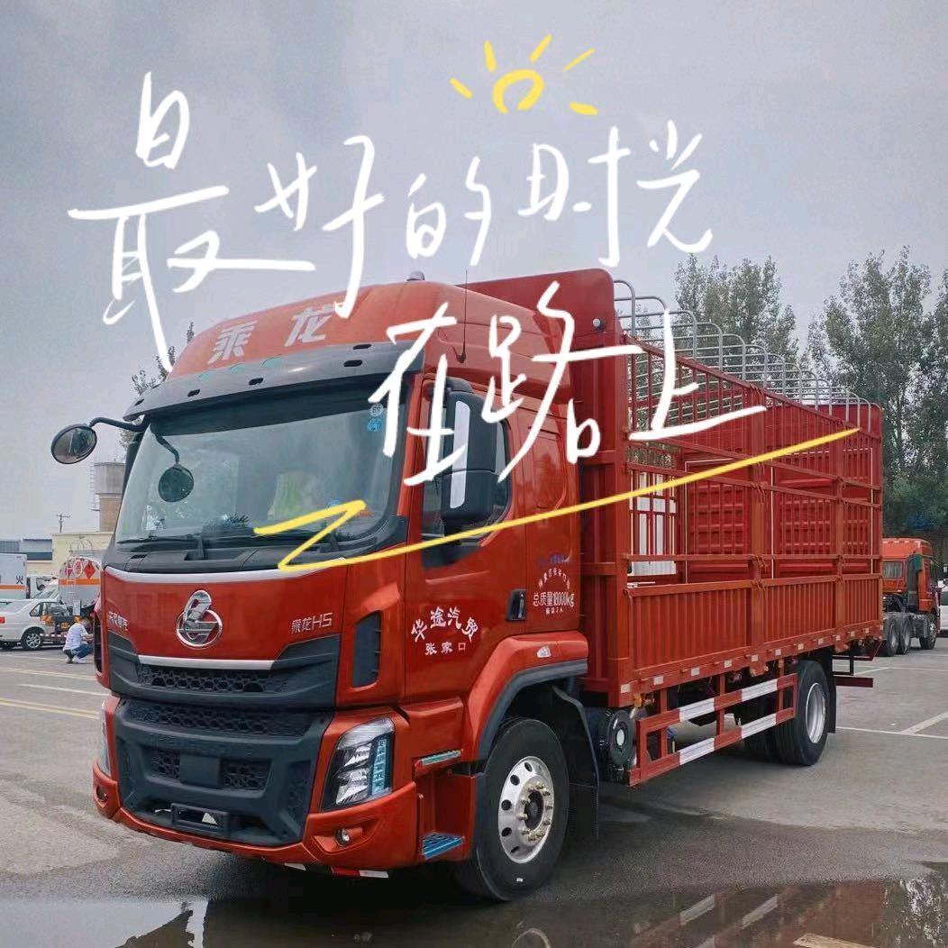 伟伟666