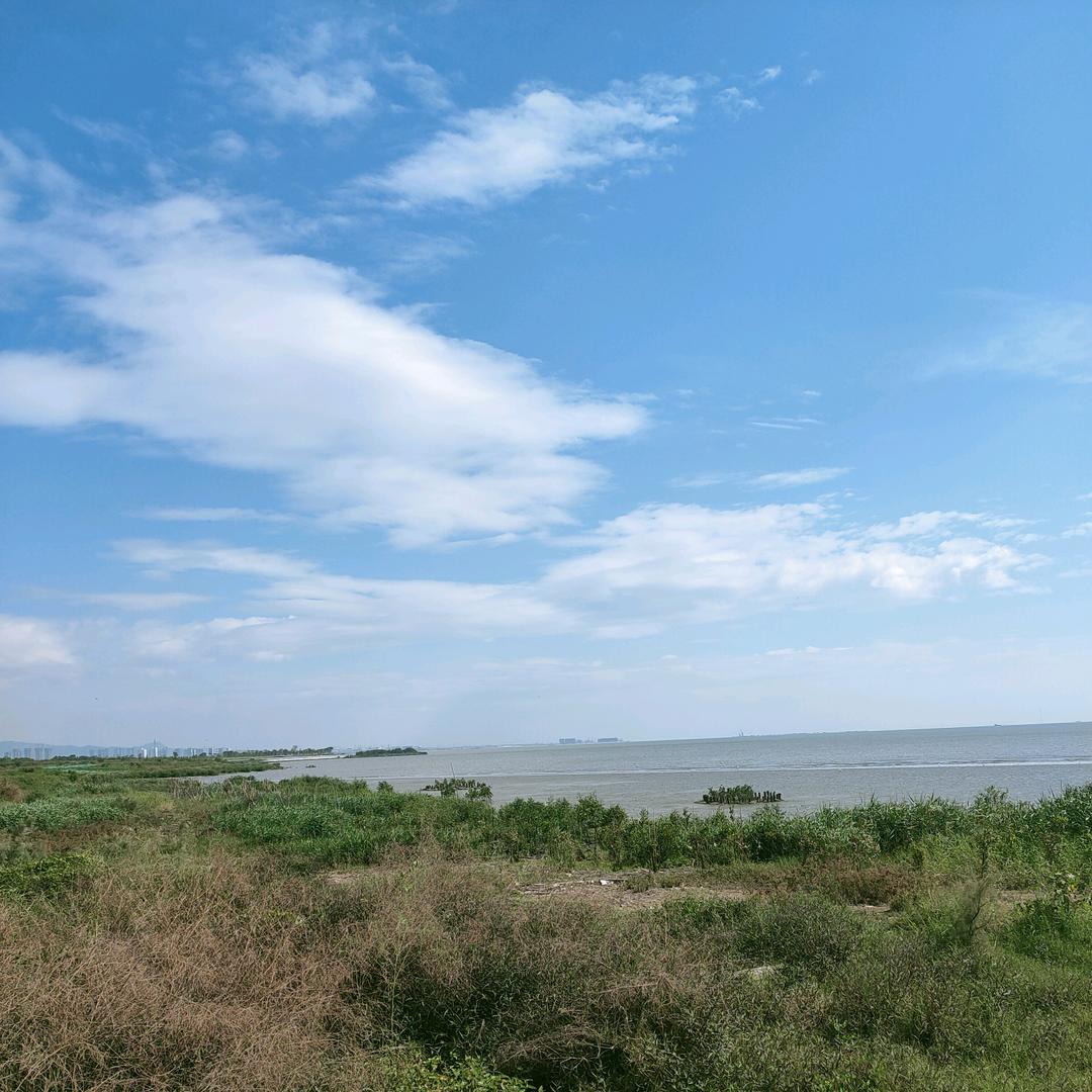道济