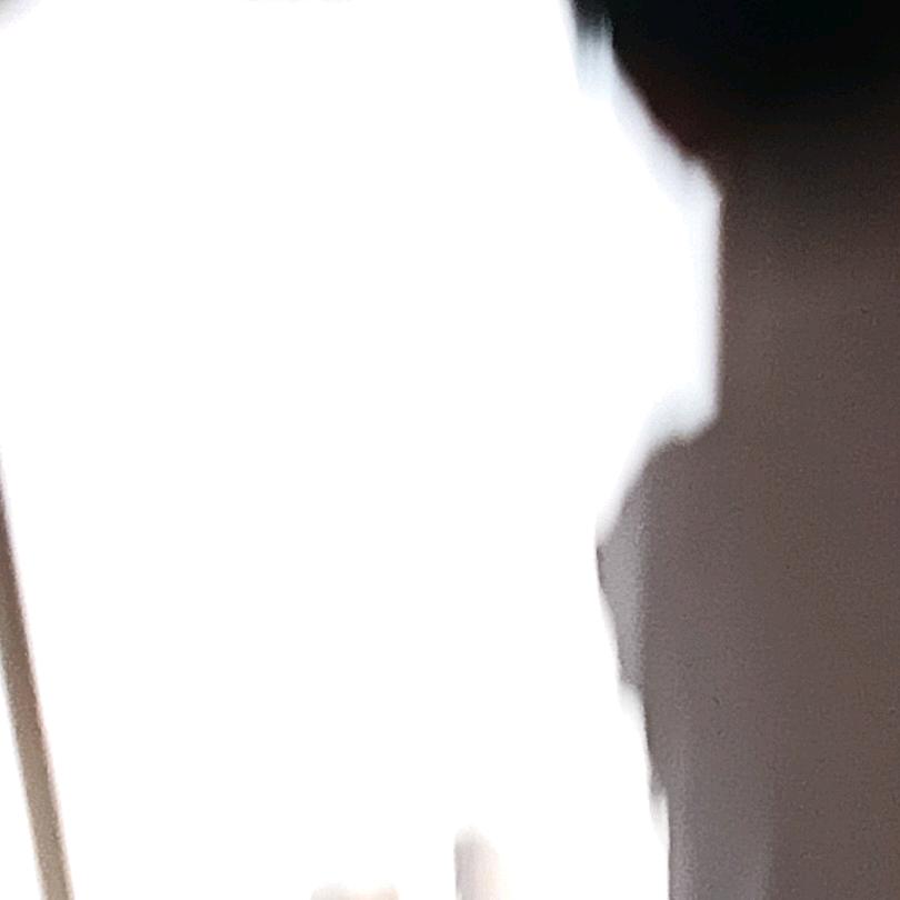 免费劳动力