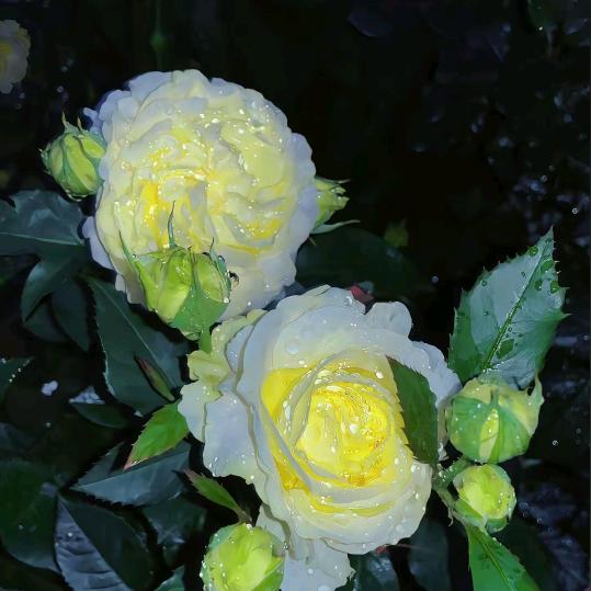 山清水秀