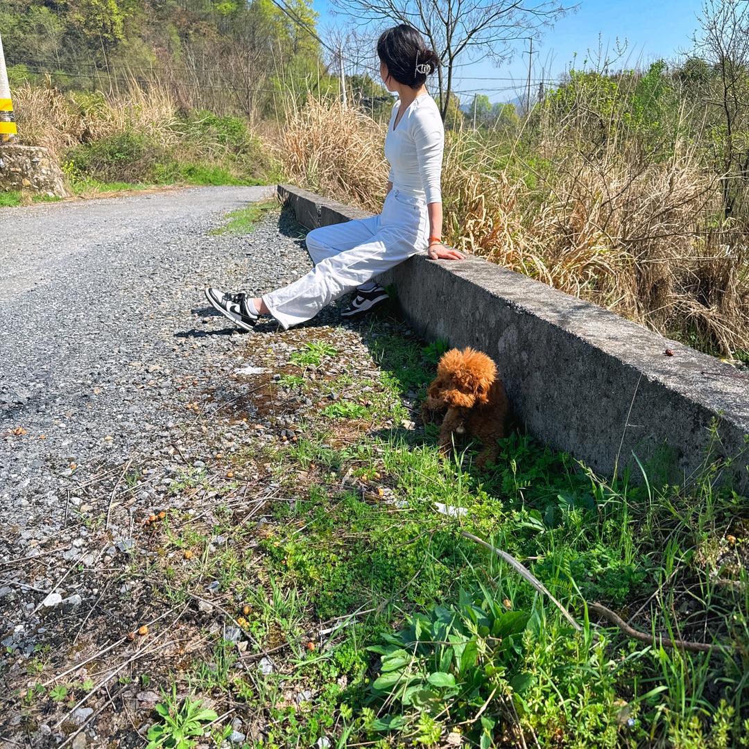 十一ᥫᬊ