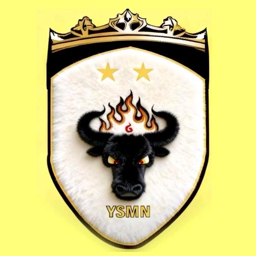 玉树牦牛足球队日常