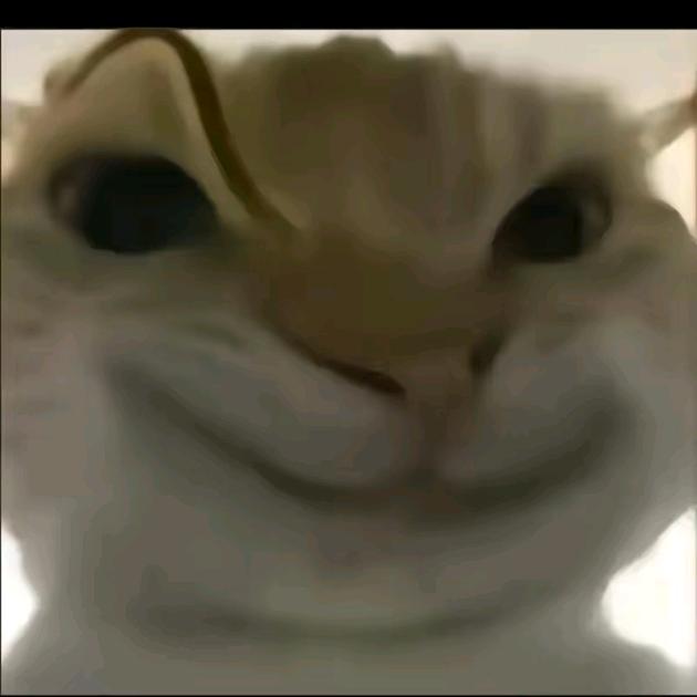 农村人