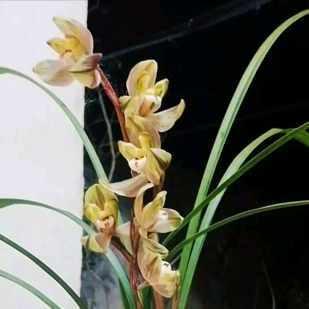 未来的世界