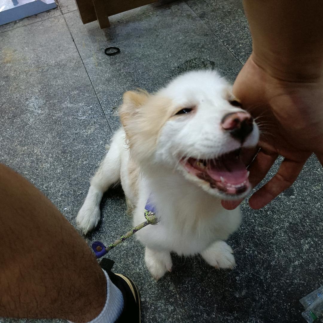 布灵布灵ing