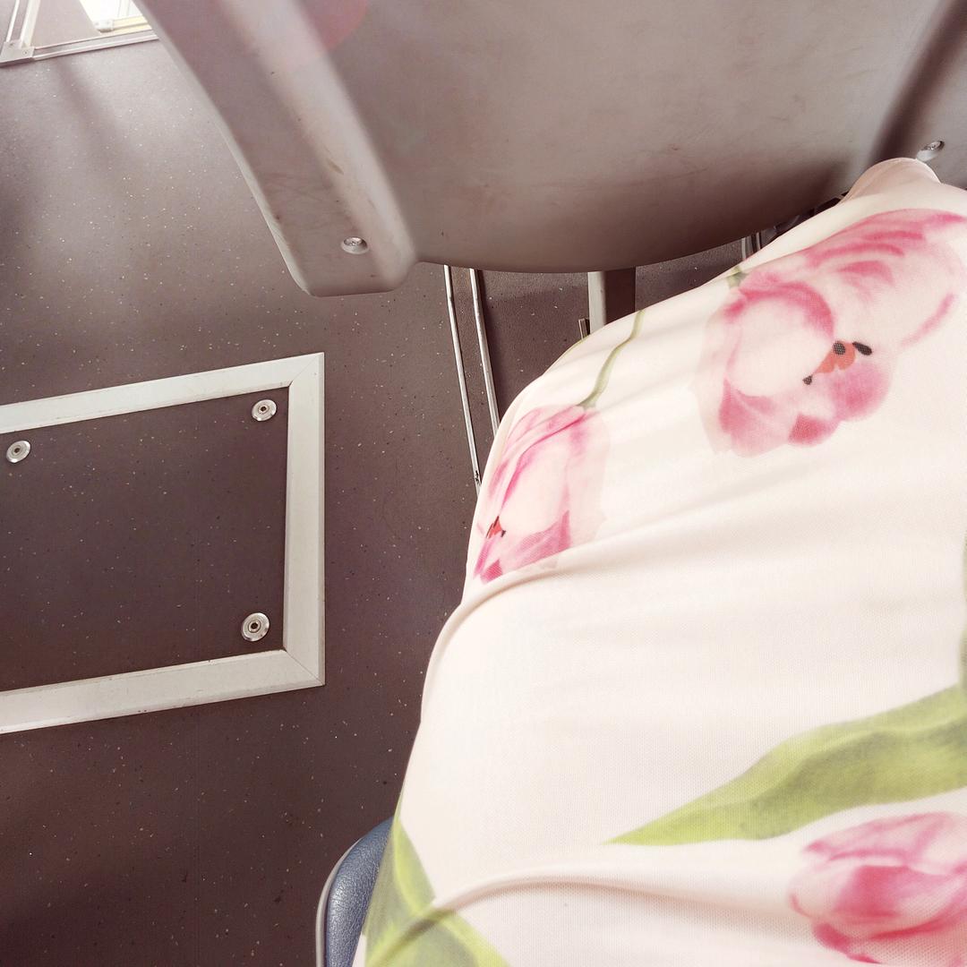 🐬🐬海豚🐬🐬