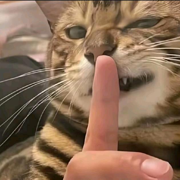 (・∀・)波