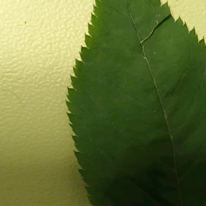 打工没人要的小陈在恒大