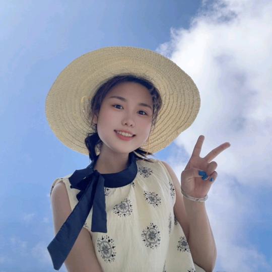 鼎艺晟琴子