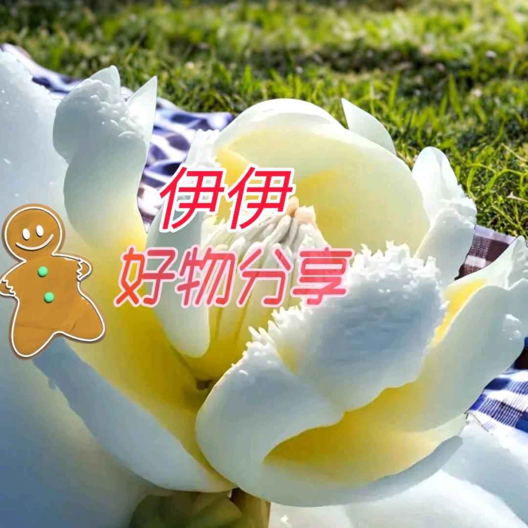 伊伊好物分享