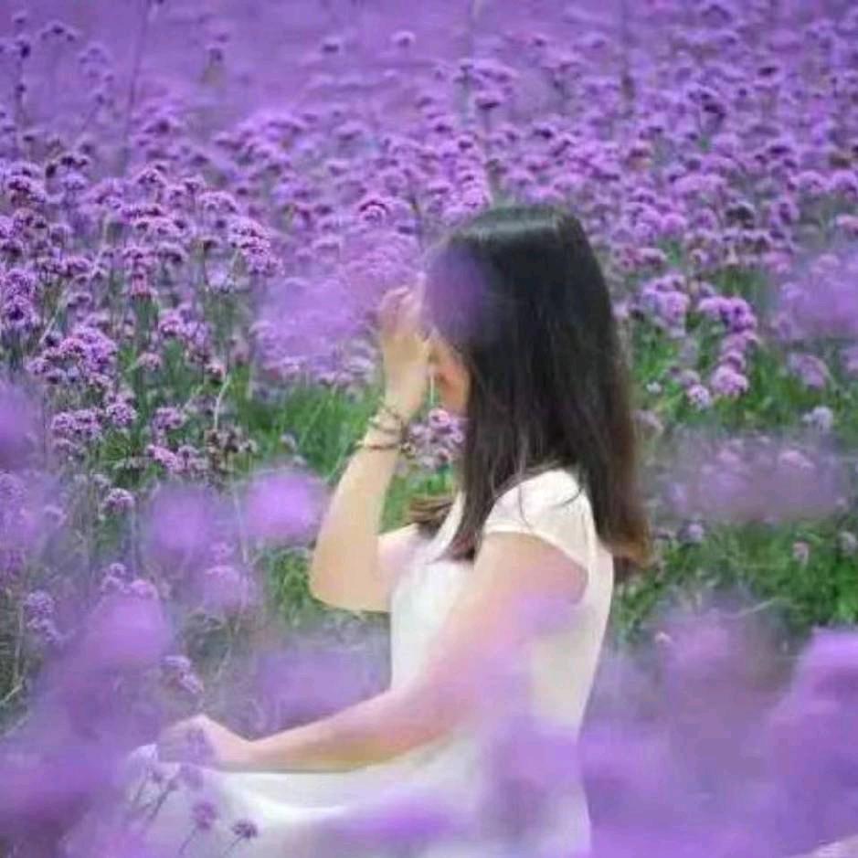 阿莲