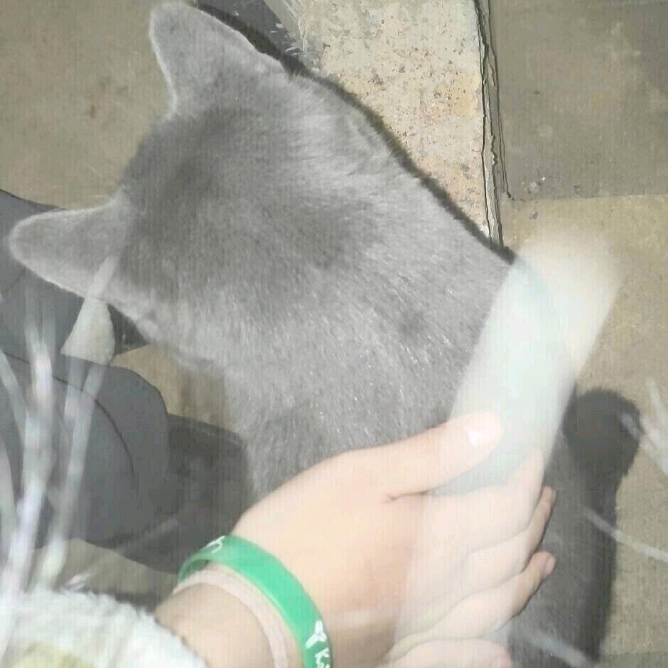 重生之萧逸齐司礼陆沉夏鸣星查理苏老婆筱毅