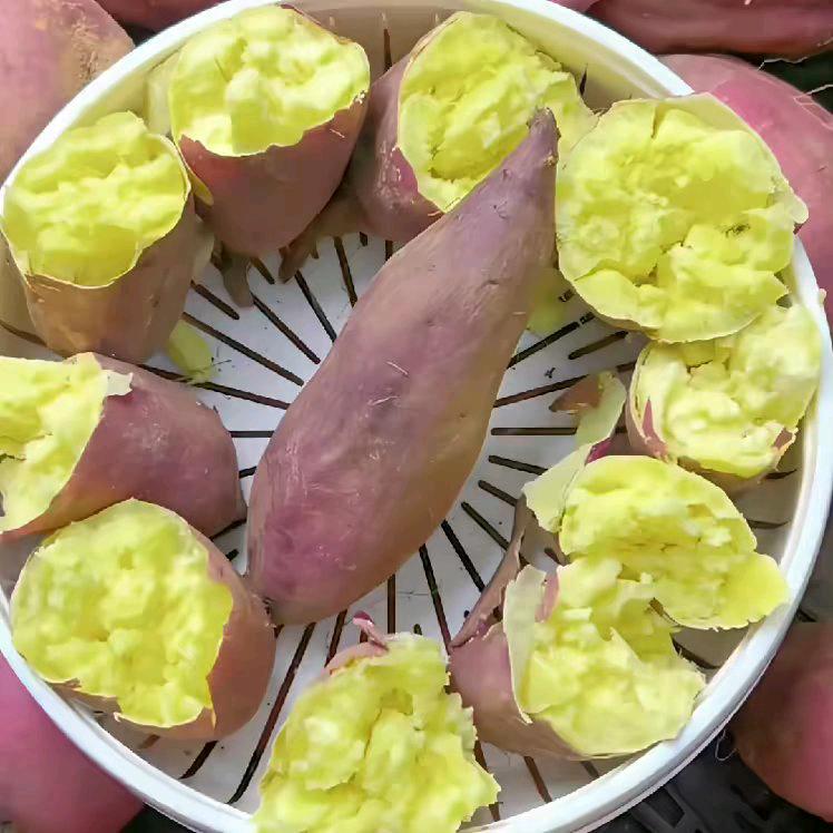 好果记板栗红薯三农产品