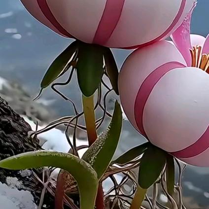 韩师傅金银加工