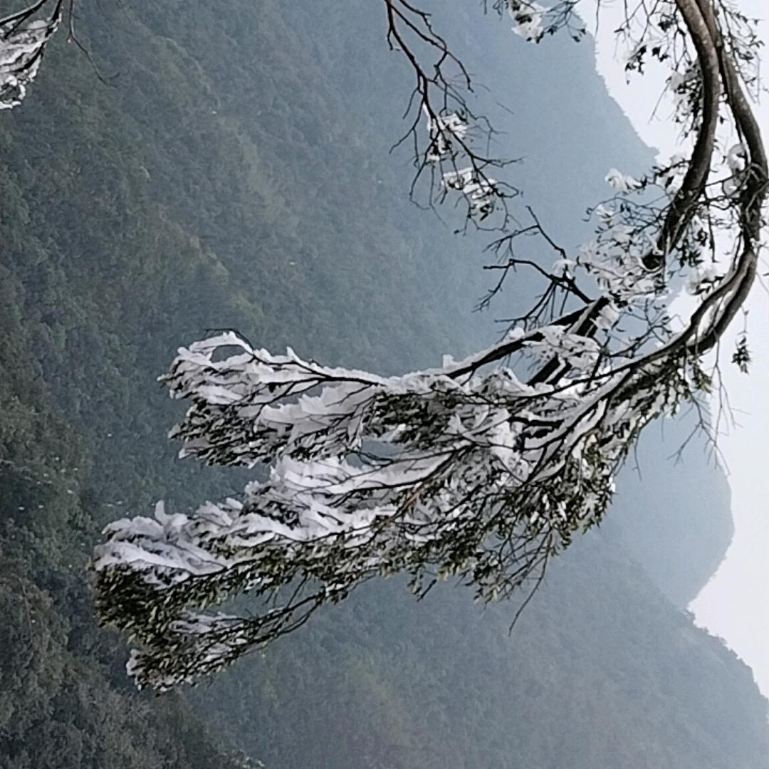 专业水磨石地坪