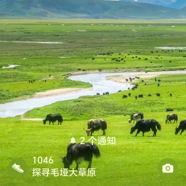 碰花碰草别碰情，动手动脚别动心