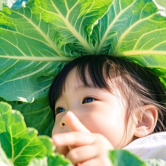 小轩轩搞笑视频头像