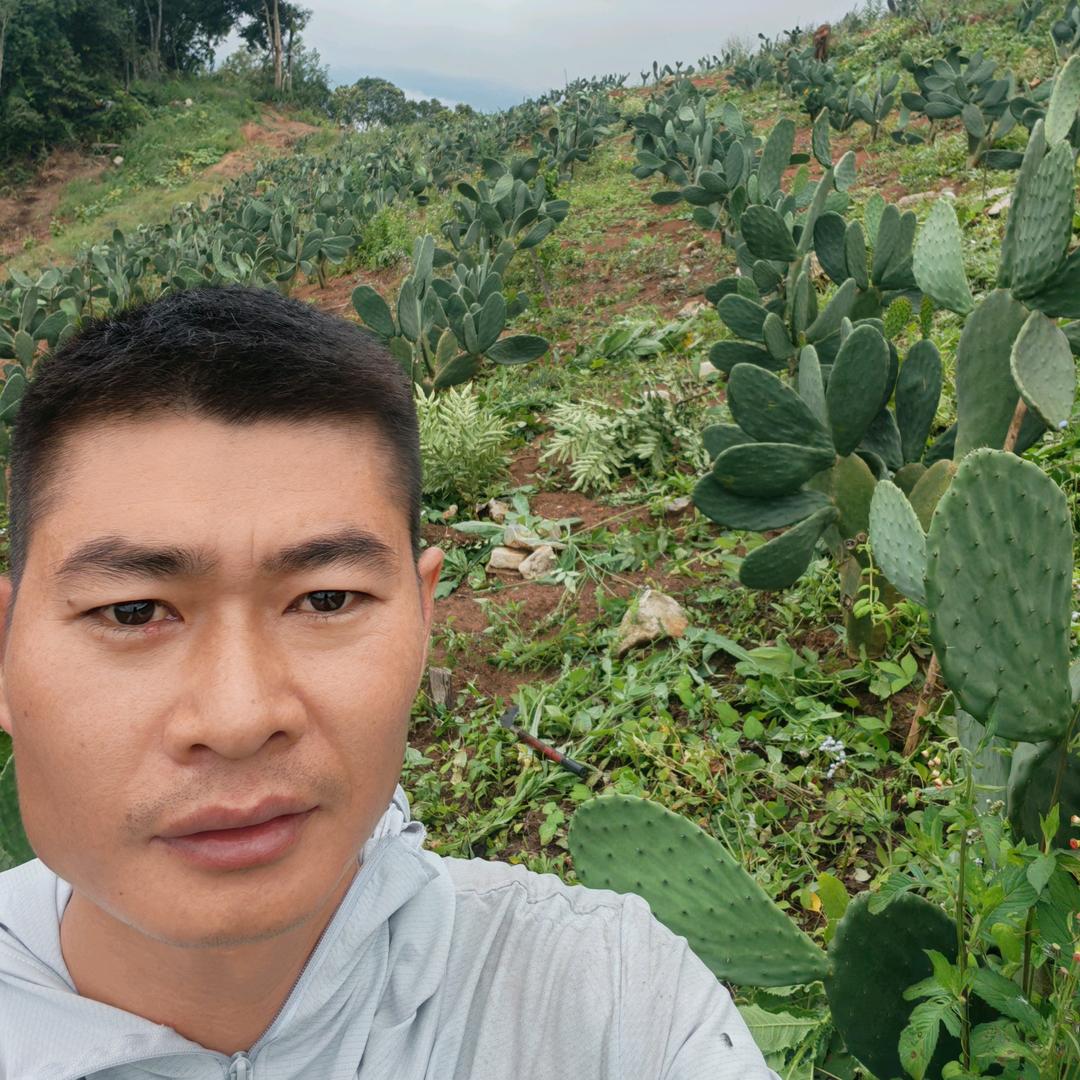 曾经的牧童@绿优农场（仙人掌）