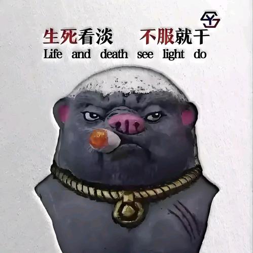 金乡民声网——刘志平