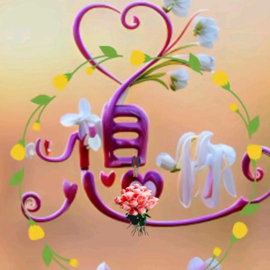 肥嘟嘟的小猪🐖