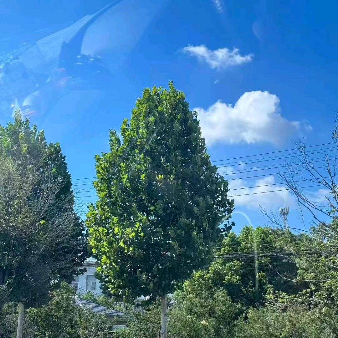 酸甜苦辣生活，烦恼优伤