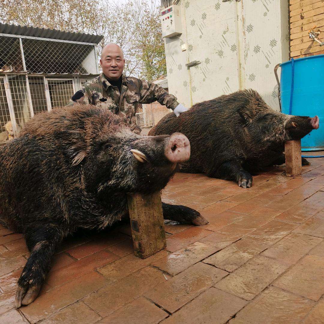 长武一弓护农队