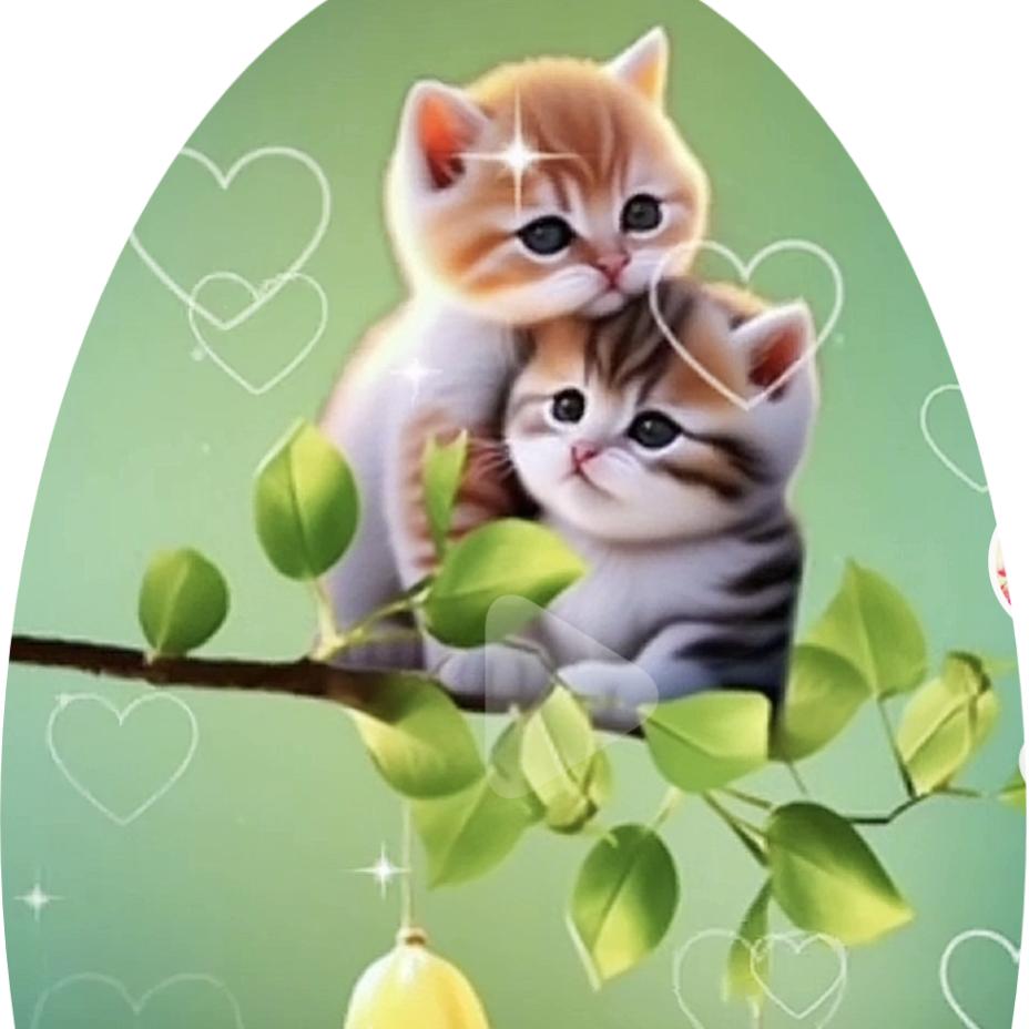 感恩有你永不取关