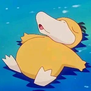 纤维球