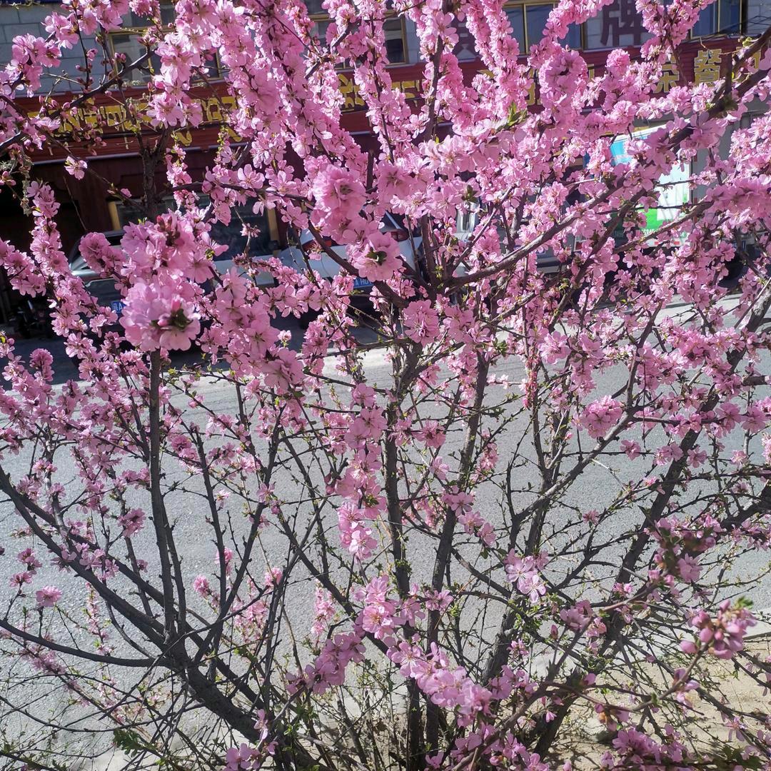 一生一世
