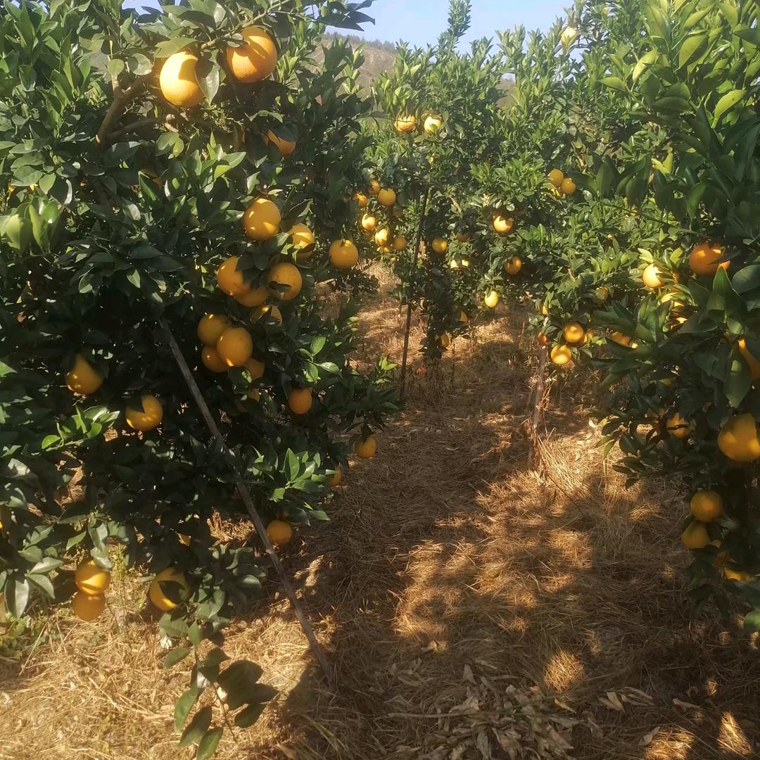 美好时光！！！