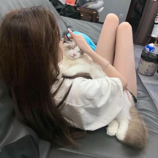 一滴淚死了.