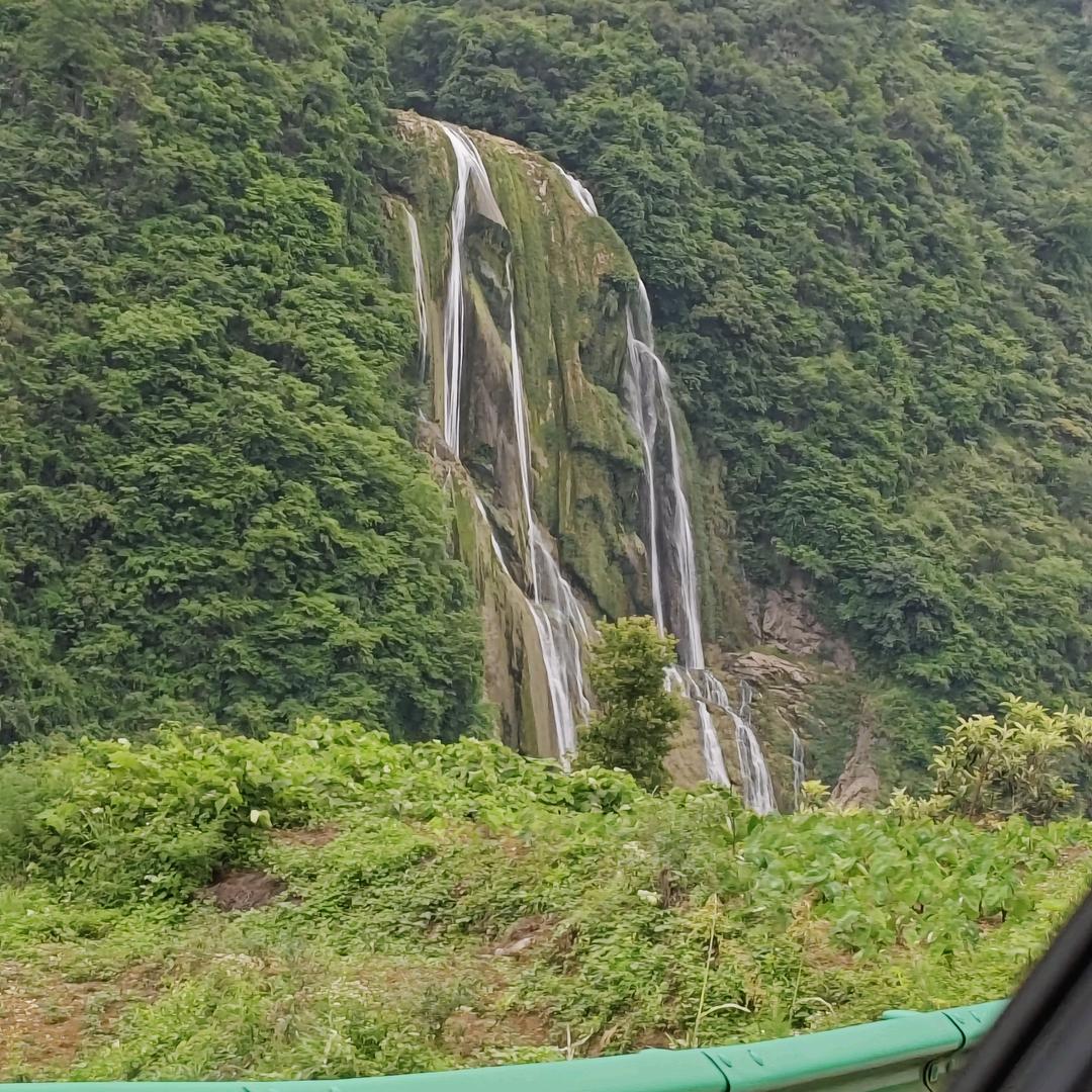 小王爱分享