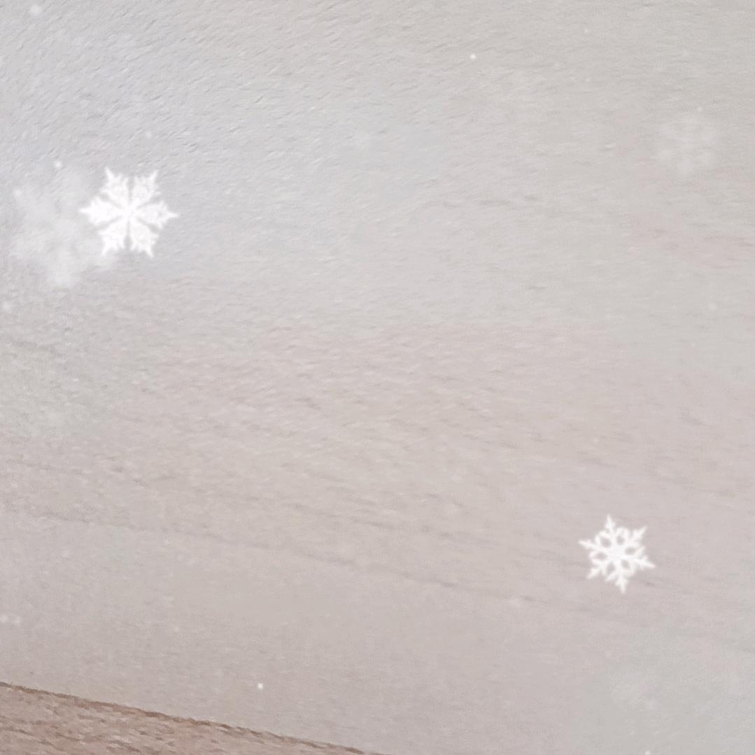 发货中。