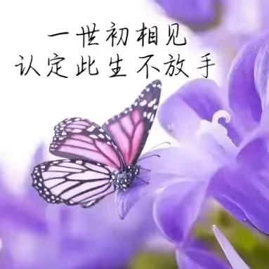 会伸懒腰的小蚂蚁