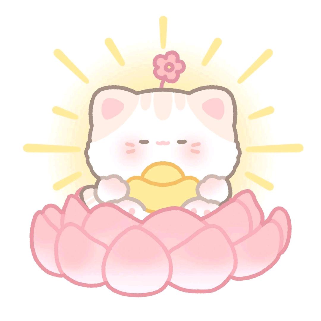 猫猫莓烦恼₊⁺🐾₊⁺