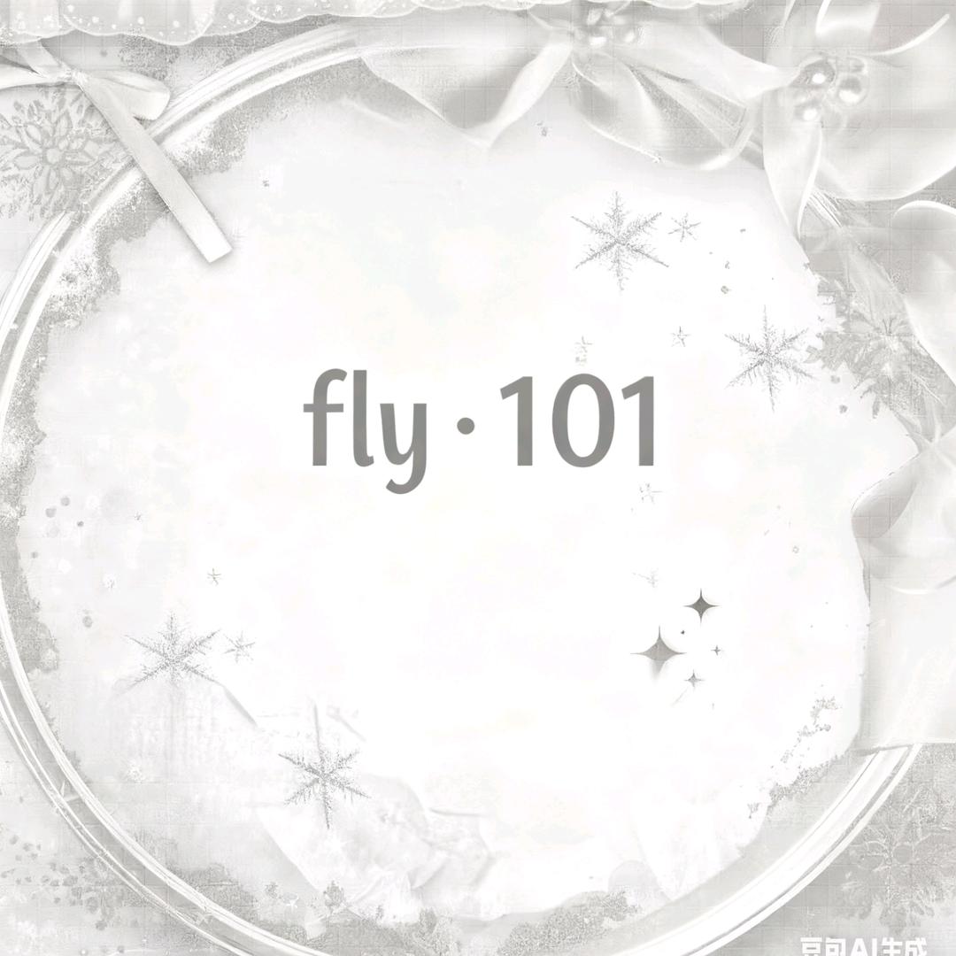 FLY·101